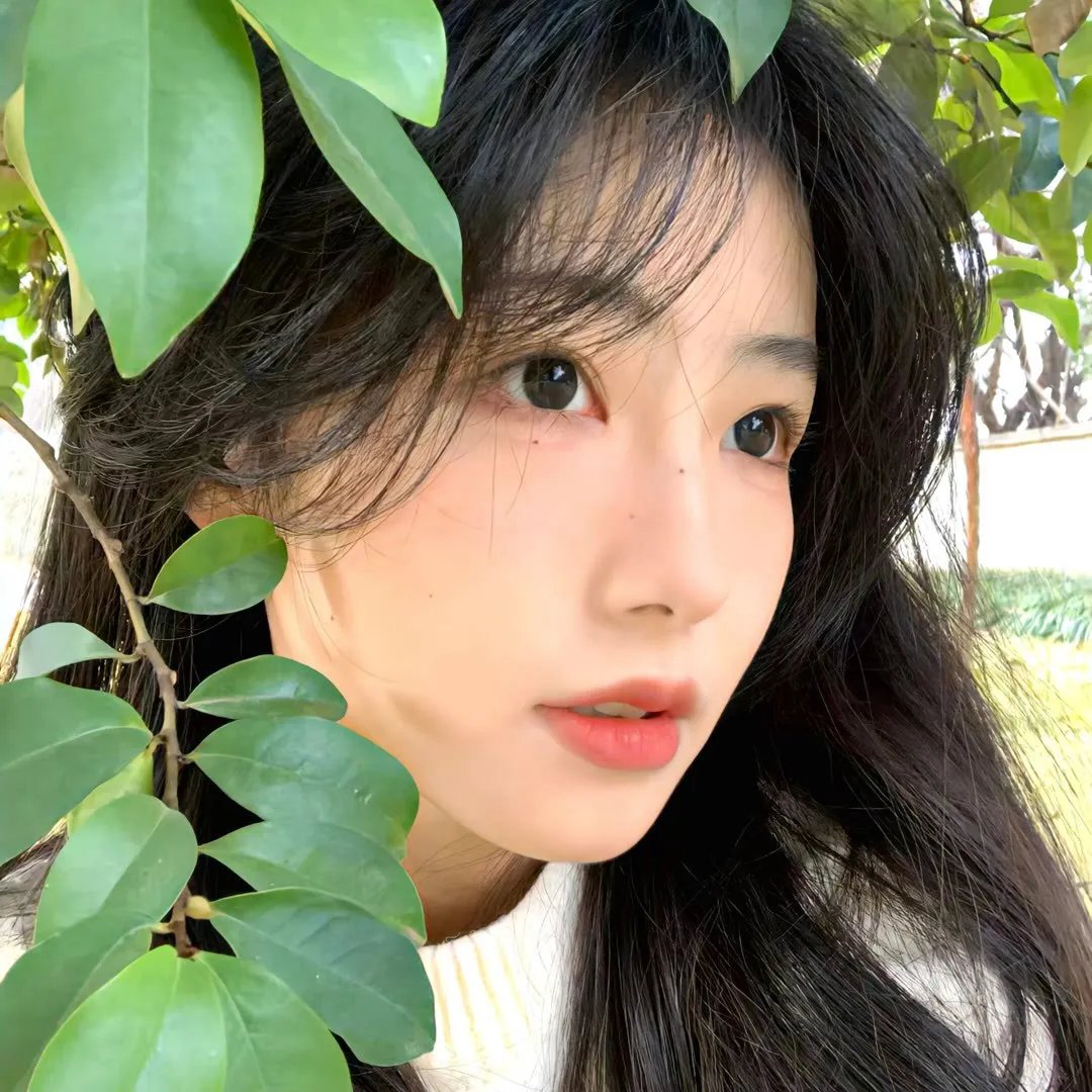 花颜劫